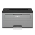 Brother HL-L2312D
