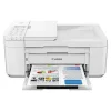 Tusze do Canon Pixma TR4550 White - zamienniki i oryginalne