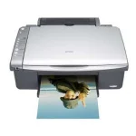 Tusze do Epson Stylus DX4250 - zamienniki i oryginalne